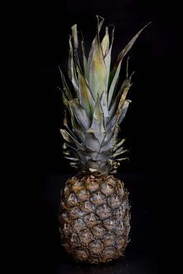 Read Pineapple Journal: 150 Page Lined Notebook/Diary -  file in PDF