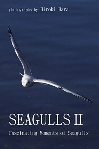 Read Online Seagulls2: fascinating moments of seagulls KAMOME - hara hiroki | ePub