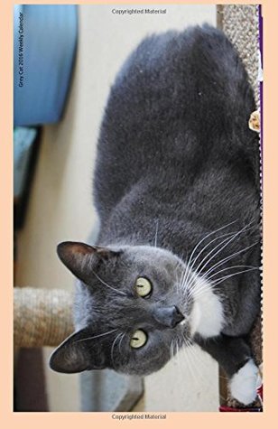 Read Online Grey Cat 2016 Weekly Calendar: 2016 weekly engagement calendar with a cover photo of a grey cat at Ralphie's Retreat - A pawsitive alternative for  feline leukemia. (Cats of Ralphie's Retreat) -  file in ePub