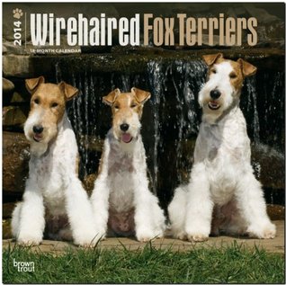 Full Download NOT A BOOK: Wirehaired Fox Terriers 2014 Wall -  file in PDF
