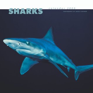 Download Sharks 2009 Square Wall Calendar (Multilingual Edition) -  | ePub