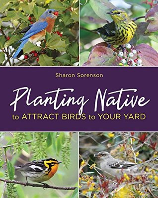 Read Online Planting Native to Attract Birds to Your Yard - Sharon Sorenson | PDF