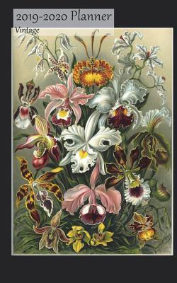 Read 2019-2020 Planner Vintage: 2 Year 20180-20 Monthly Calendar Organizer Appointment Book, Colorful Flowers Cover, Two Years 24 Months, 5x8, with Yearly and Address Pages -  file in PDF