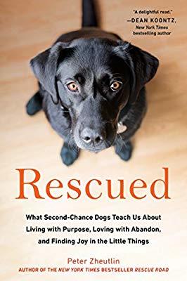 Download Rescued: What Second-Chance Dogs Teach Us about Living with Purpose, Loving with Abandon, and Finding Joy in the Little Things - Peter Zheutlin file in ePub