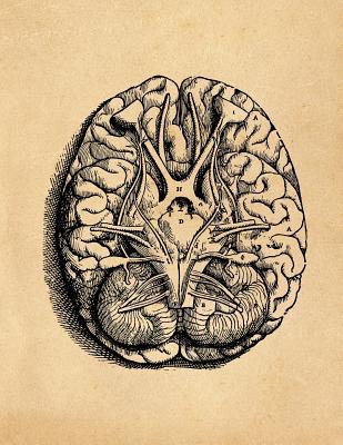 Read Online Anatomy Notebook: Andreas Vesalius - Base of Brain - Premium College Ruled Notebook 110 Pages -  file in PDF