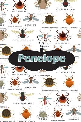 Download Penelope: Bug Insect Handwriting for K-3 Students Practice Paper Book Notebook Journal Book 120 Pages 6x9 -  | PDF