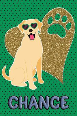 Full Download Lab Life Chance: College Ruled Composition Book Diary Lined Journal Blue - Hunter Johns file in ePub