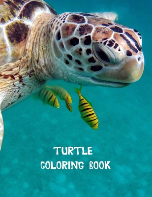 Full Download Turtle coloring book: Coloring Toy Gifts for Toddlers, Kids or Adult Relaxation Cute Easy and Relaxing Realistic Large Print Birthday Gifts - Shayne Coloring Book | PDF