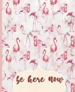 Full Download Be Here Now: College Ruled Notebook, Lined Writing Journal, Notebook for Journaling, School and Work, Pink Flamingo Cover, 100 Pages, 7.5 x 9.25 - Prcvir Prints | PDF